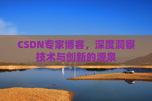 CSDN专家博客，深度洞察技术与创新的源泉